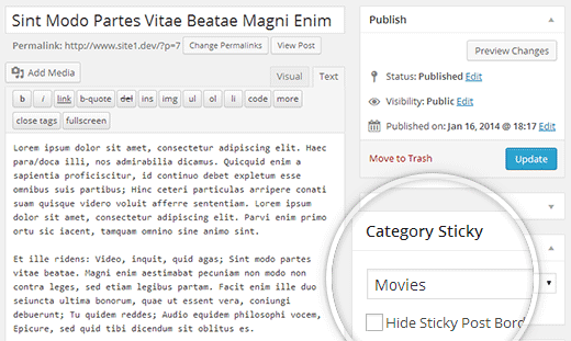 Categoría metabox adhesivo en la pantalla de edición de publicaciones en WordPress 