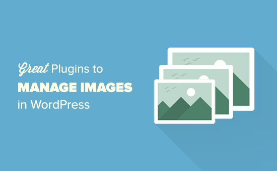 Complementos de WordPress para administrar imágenes 