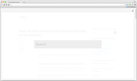 Superposición de búsqueda en pantalla completa en un sitio de WordPress 