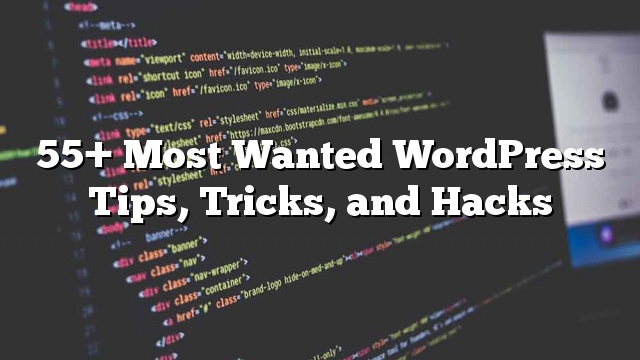 55+ consejos, trucos y hacks de WordPress más buscados_5d9ed7f2447eb.jpeg