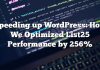 Acelerando WordPress: cómo optimizamos el rendimiento de List25 en 256%