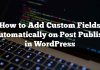 Cómo agregar campos personalizados automáticamente en publicación en WordPress