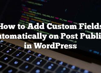 Cómo agregar campos personalizados automáticamente en publicación en WordPress