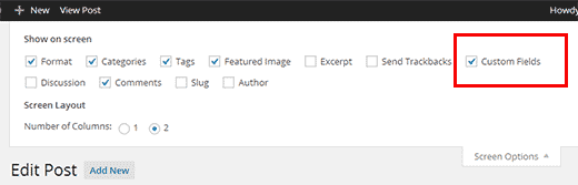 Hacer visible el cuadro de metadatos de los campos personalizados en el editor de publicaciones de WordPress 