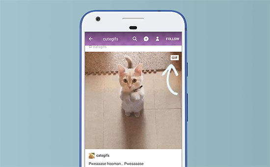 Ejemplo de GIF en pausa Ejemplo de GIF en pausa