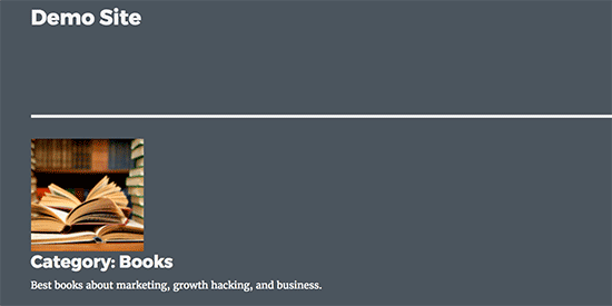 Imagen de taxonomía en la página de archivo de taxonomía 