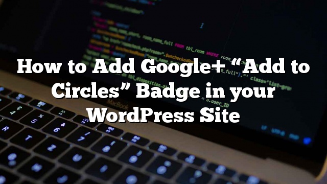 Cómo agregar la insignia de Google+ «Agregar a círculos» en su sitio de WordPress_5d9edeb8d92fc.jpeg