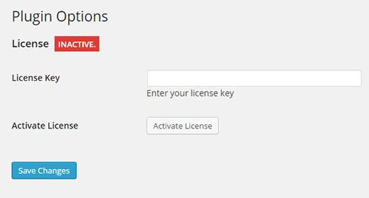 Introduce tu clave de licencia 