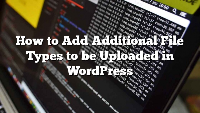 Cómo agregar tipos de archivos adicionales para ser cargados en WordPress_5d9d950c8b533.jpeg