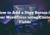 Cómo agregar un botón Digg en su WordPress usando campos personalizados