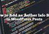 Cómo agregar un cuadro de información del autor en las publicaciones de WordPress