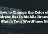 Cómo cambiar el color de la barra de direcciones en el navegador móvil para que coincida con su sitio de WordPress