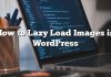Cómo cargar imágenes perezosas en WordPress
