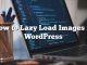 Cómo cargar imágenes perezosas en WordPress