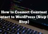 Cómo conectar el contacto constante con WordPress (paso a paso)