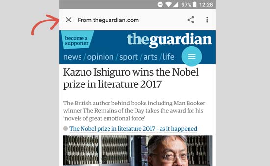 Botón Cerrar en AMP Viewer en Android Botón Cerrar en AMP Viewer en Android