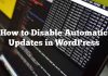 Cómo deshabilitar las actualizaciones automáticas en WordPress