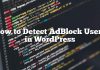 Cómo detectar usuarios de AdBlock en WordPress