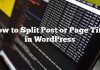 Cómo dividir un anuncio o título de página en WordPress