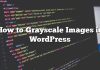 Cómo escalar las imágenes en escala de grises en WordPress