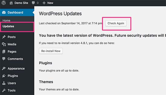 Verifique las actualizaciones de WordPress 