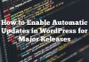 Cómo habilitar actualizaciones automáticas en WordPress para versiones principales