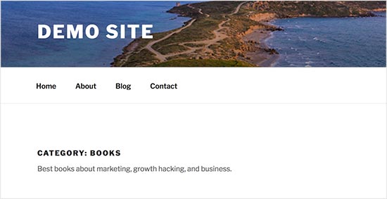 Descripción de la categoría que se muestra en la página de archivo de categoría en WordPress 