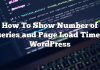 Cómo mostrar el número de consultas y el tiempo de carga de la página en WordPress