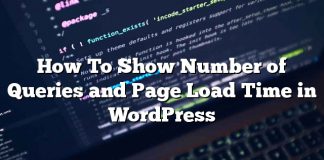 Cómo mostrar el número de consultas y el tiempo de carga de la página en WordPress