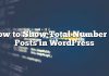 Cómo mostrar el número total de publicaciones en WordPress