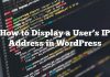 Cómo mostrar la dirección IP de un usuario en WordPress