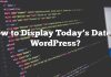 Cómo mostrar la fecha de hoy en WordPress?