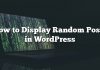 Cómo mostrar publicaciones aleatorias en WordPress