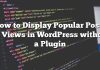 Cómo mostrar publicaciones populares por vistas en WordPress sin un complemento
