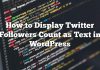 Cómo mostrar seguidores de Twitter cuentan como texto en WordPress