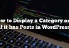 Cómo mostrar una categoría solo si tiene publicaciones en WordPress
