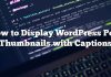 Cómo mostrar WordPress Publicar miniaturas con subtítulos