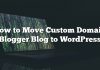 Cómo mover el blog de blog de dominio personalizado a WordPress