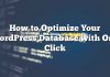 Cómo optimizar su base de datos de WordPress con un solo clic