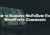 Cómo quitar NoFollow From WordPress Comentarios
