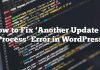 Cómo reparar el error ‘Otra actualización en proceso’ en WordPress