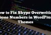 Cómo reparar Skype que sobrescribe los números de teléfono en WordPress Themes