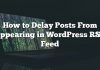 Cómo retrasar la publicación de publicaciones en WordPress RSS Feed