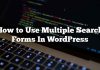 Cómo usar múltiples formularios de búsqueda en WordPress