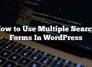 Cómo usar múltiples formularios de búsqueda en WordPress