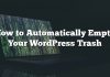 Cómo vaciar automáticamente la basura de WordPress