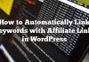 Cómo vincular palabras clave automáticamente con enlaces afiliados en WordPress