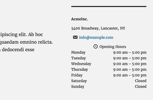 Información comercial y horario de apertura en WordPress 