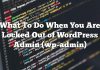Qué hacer cuando está bloqueado sin el administrador de WordPress (wp-admin)