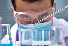 Salud: científicos logran curar la diabetes de ratones con un nuevo método – Fayerwayer